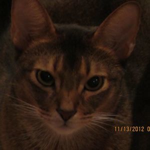 Meet your Posher, Mihaela